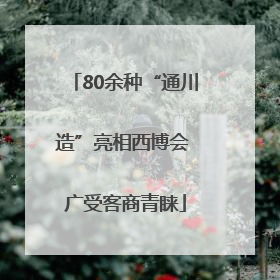 80余种“通川造”亮相西博会 广受客商青睐