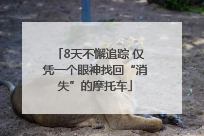 8天不懈追踪 仅凭一个眼神找回“消失”的摩托车