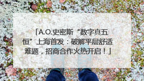 A.O.史密斯“数字真五恒”上海首发：破解平层舒适难题，招商合作火热开启！