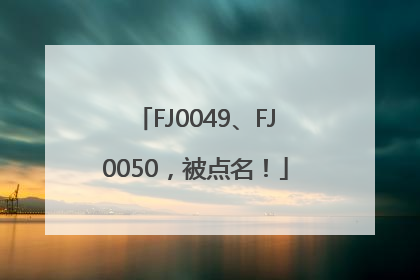 FJ0049、FJ0050，被点名！