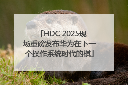 HDC 2025现场重磅发布华为在下一个操作系统时代的棋