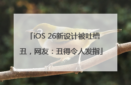 iOS 26新设计被吐槽丑，网友：丑得令人发指